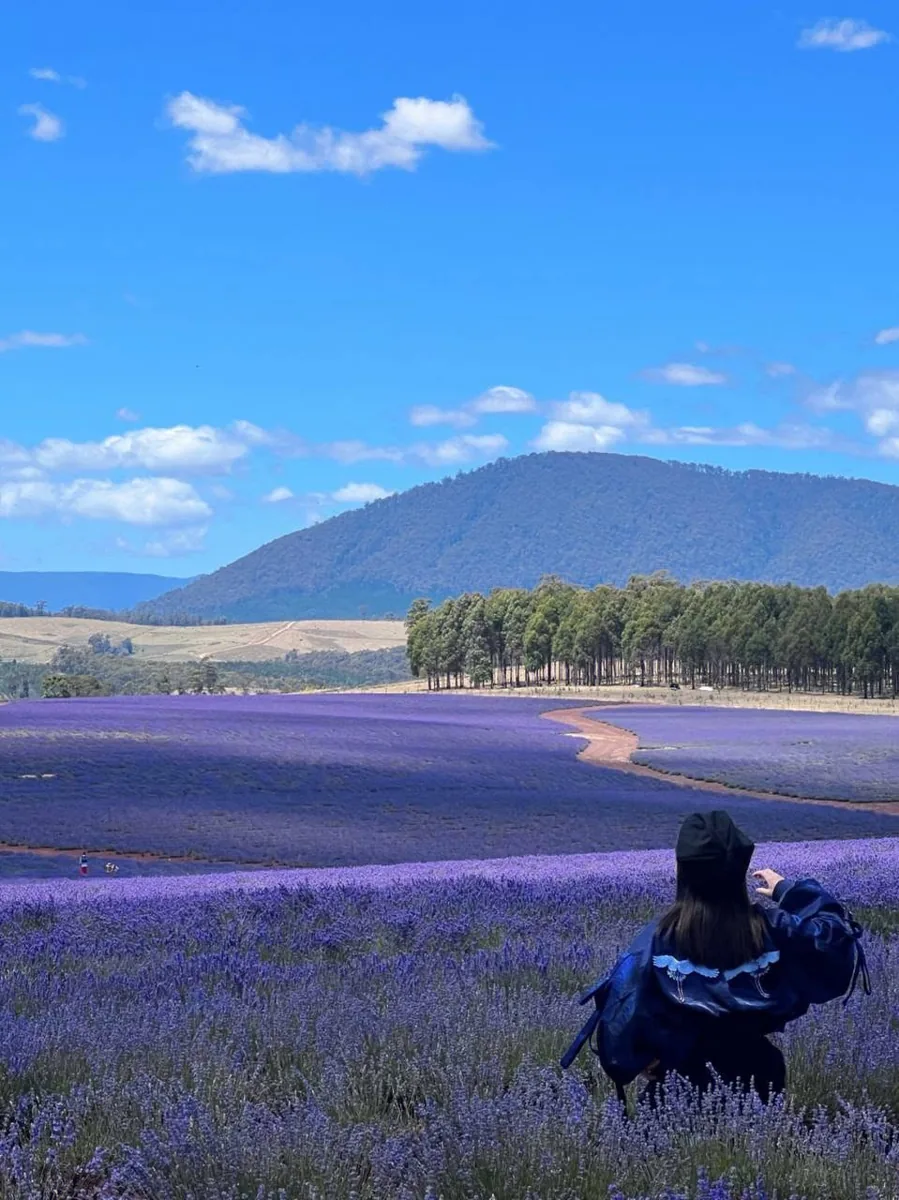 Connection with the natural world can encourage consideration for our communities and environment.